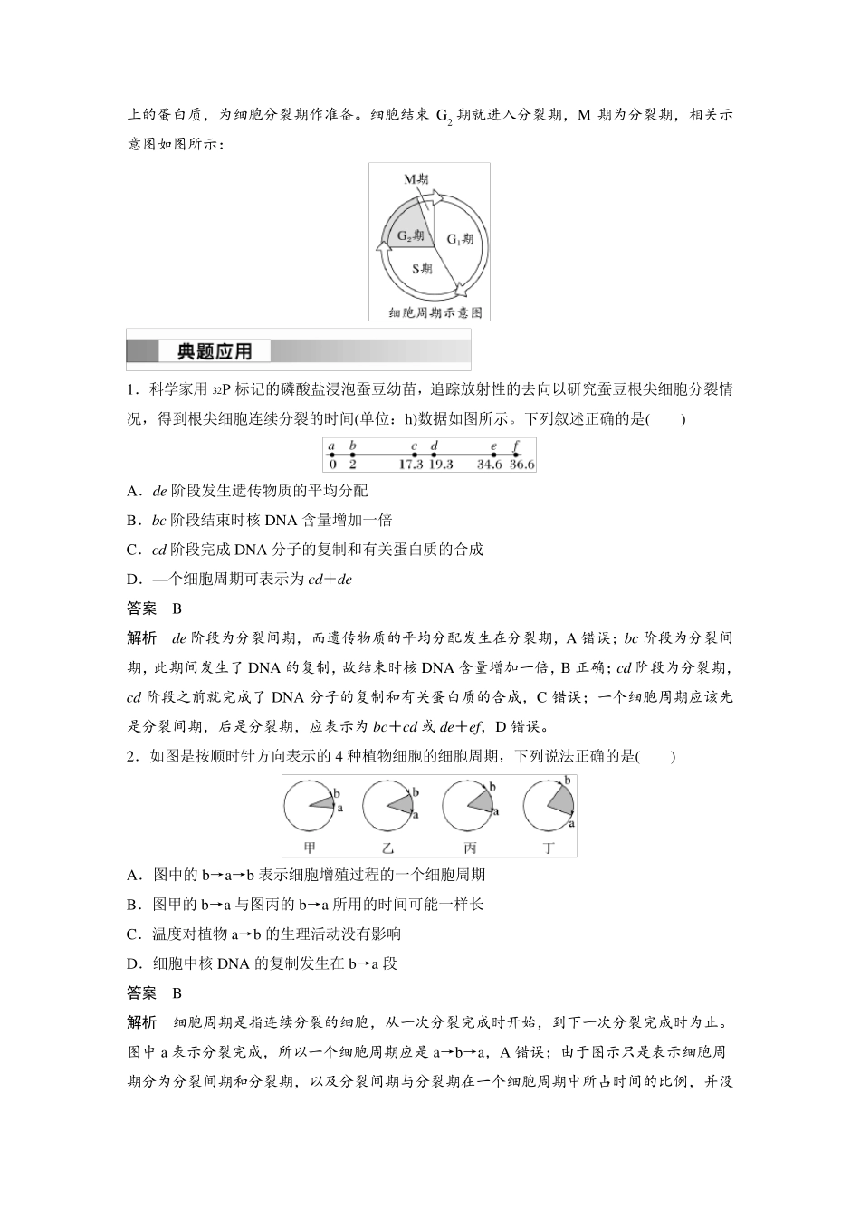 高中生物(必修第一册 人教版)讲义教案：细胞增殖、有丝分裂(含答案)_第3页