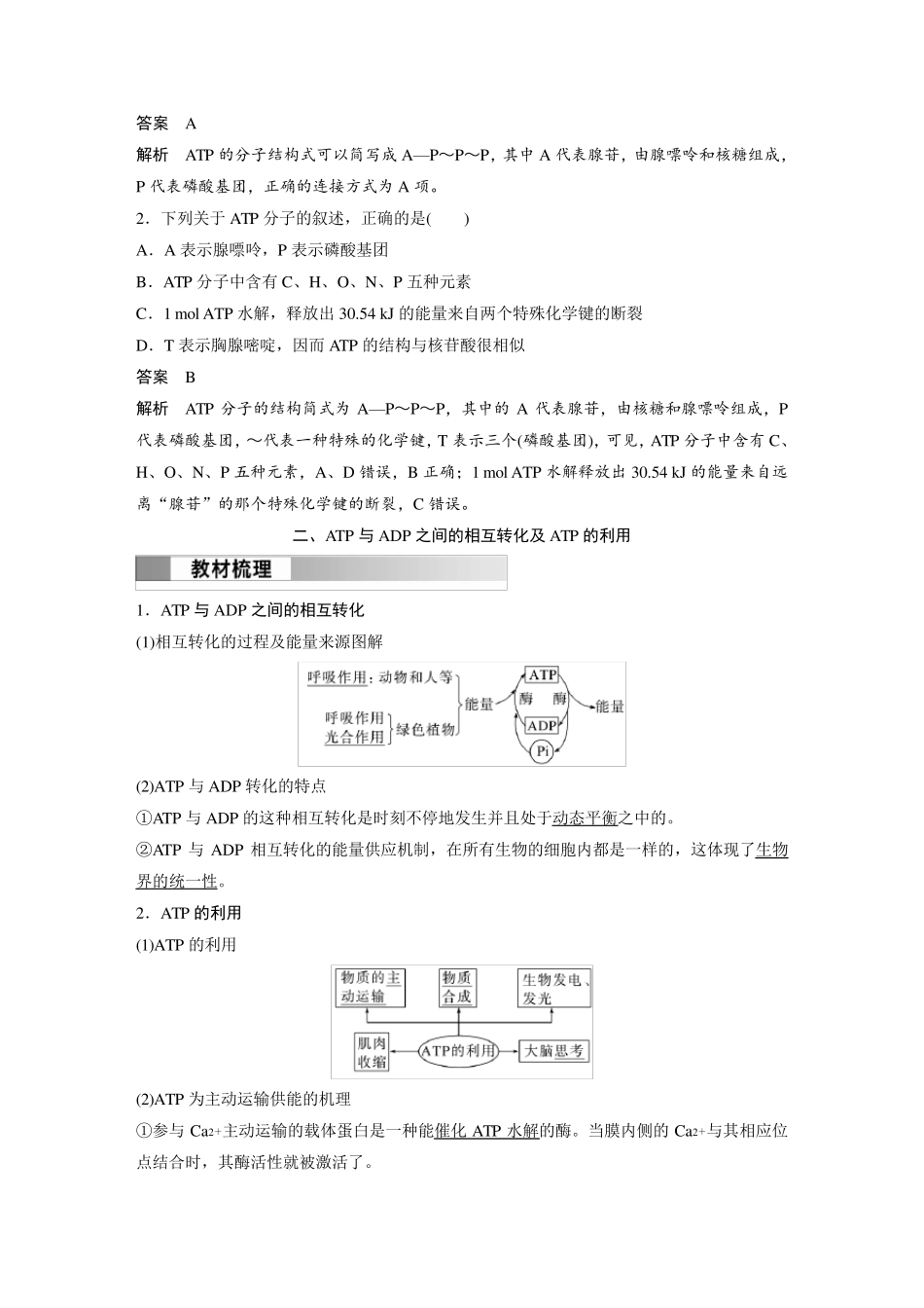 高中生物(必修第一册 人教版)讲义教案：细胞的能量“货币”ATP(含答案)_第3页