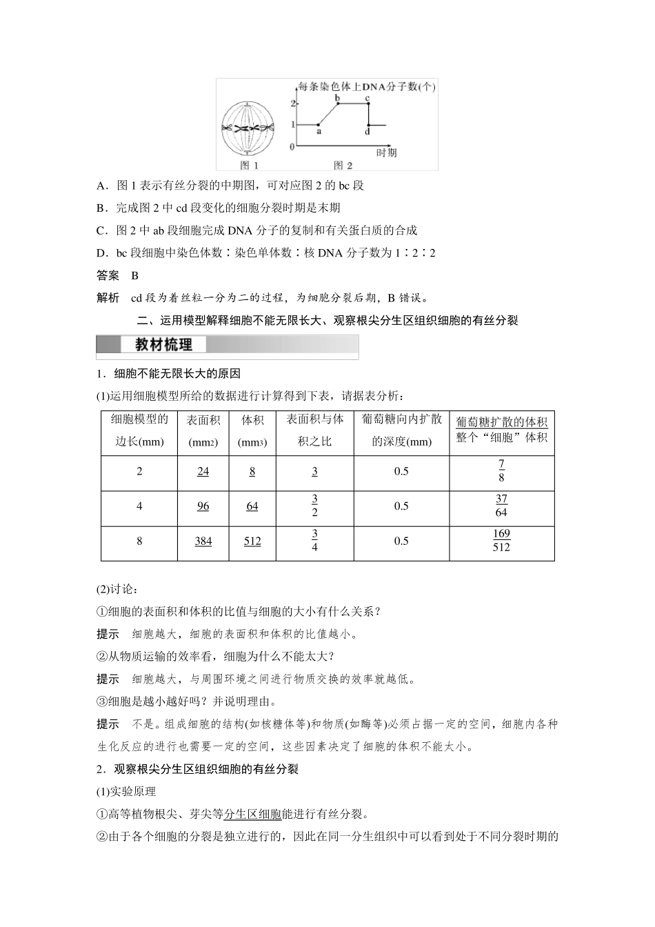 高中生物(必修第一册 人教版)讲义教案：观察根尖分生区组织细胞的有丝分裂(含答案)_第3页