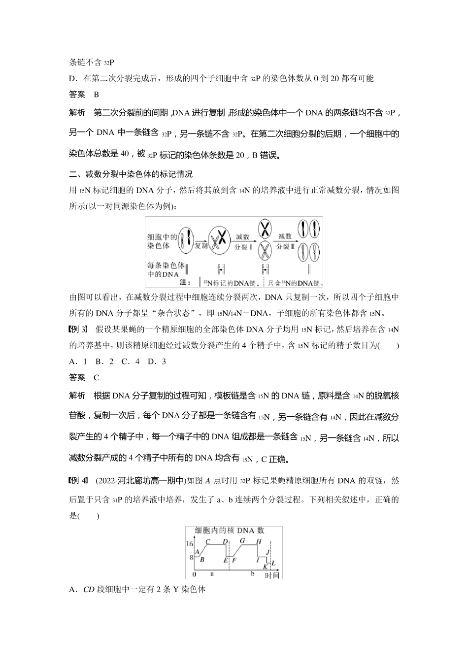 高中生物新教材必修第二册教案讲义：DNA复制与细胞分裂中的染色体标记问题_第2页