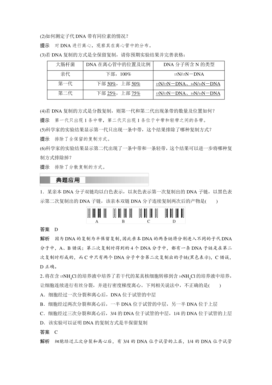 高中生物新教材必修第二册教案讲义：DNA的复制_第3页