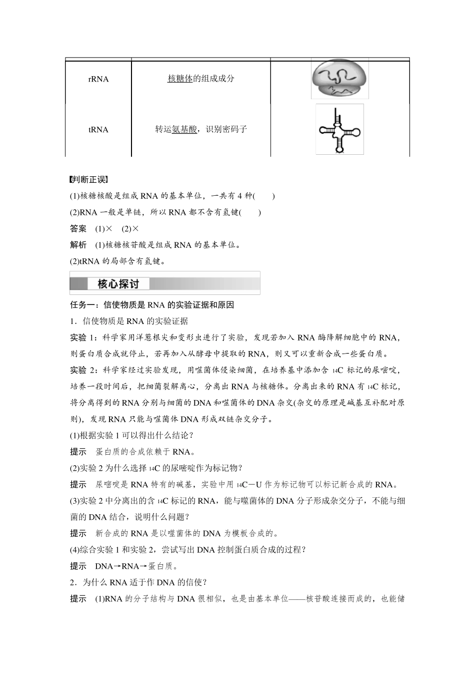 高中生物新教材必修第二册教案讲义：RNA的结构和功能、遗传信息的转录_第2页