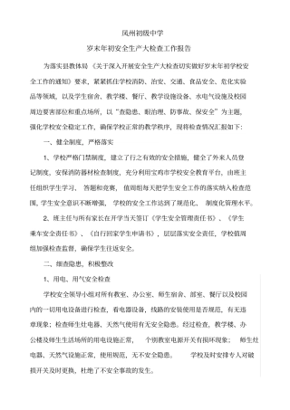 岁末年初安全生产大检查工作报告