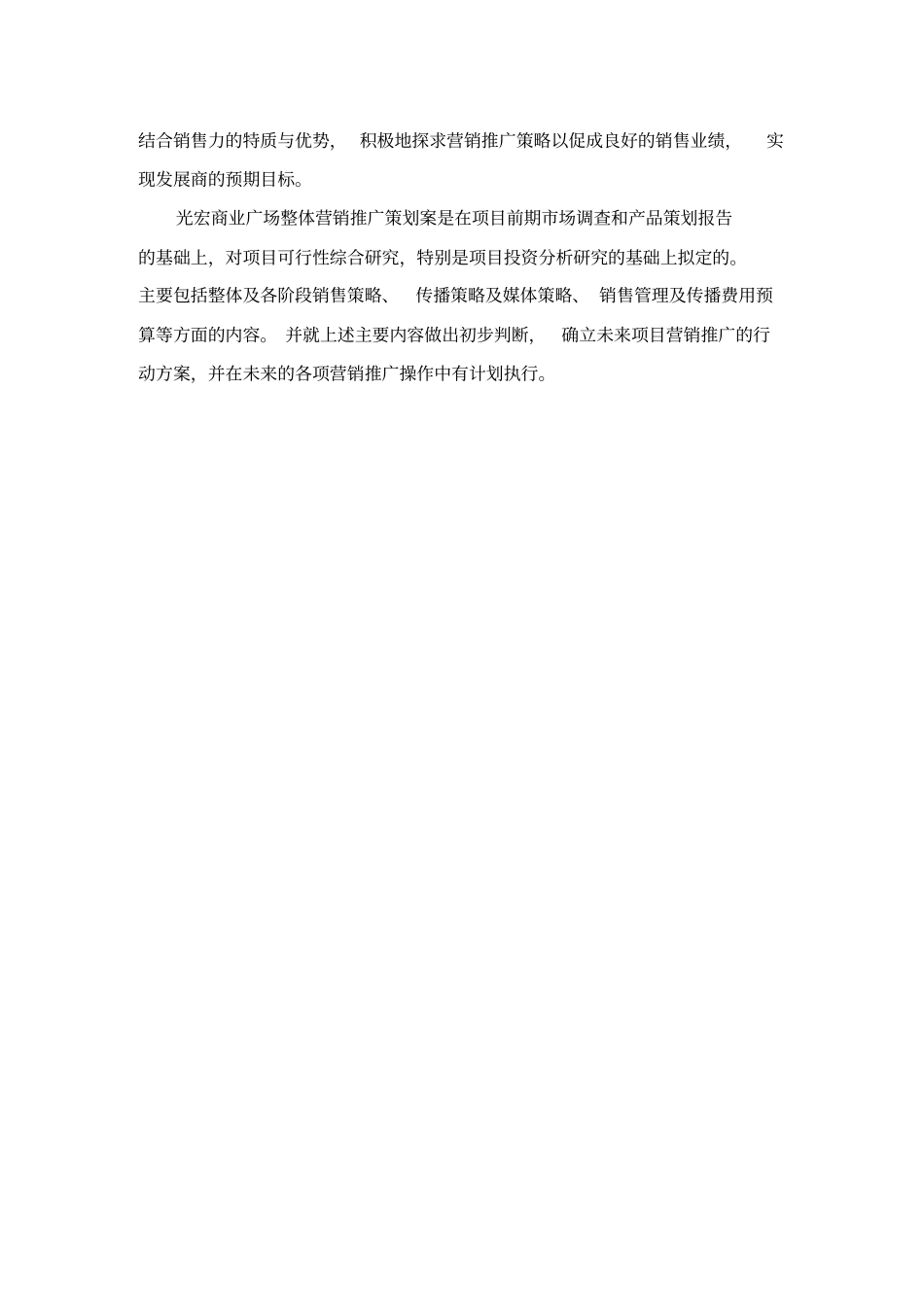 岳阳光宏购物公园营销策划报告_第3页