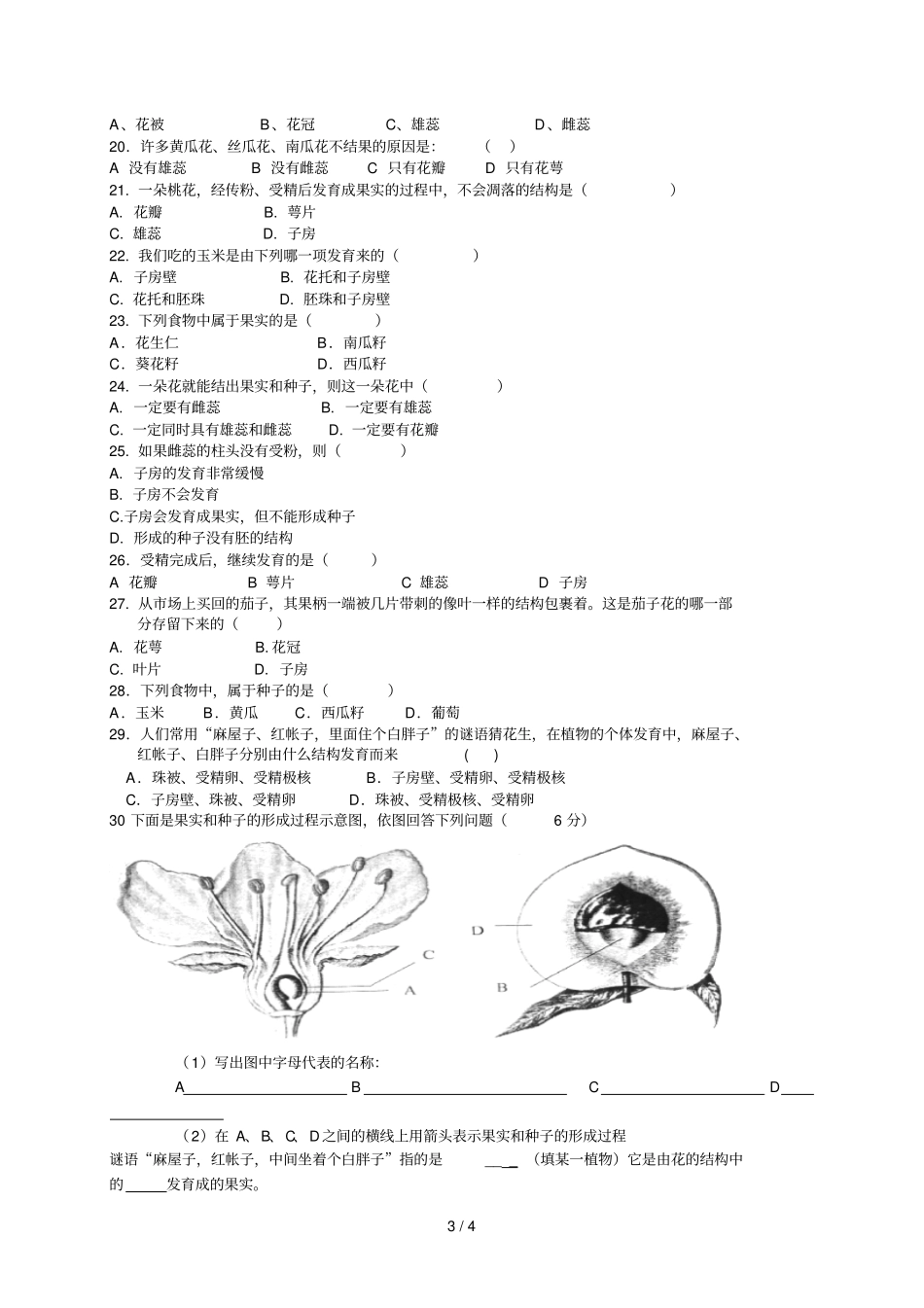 崂山区初级中学生物教学案_第3页