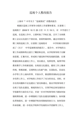 巡视个人整改报告