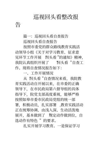 巡视回头看整改报告