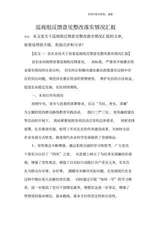 巡视组反馈意见整改落实情况汇报