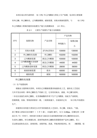 己内酰胺工艺简述
