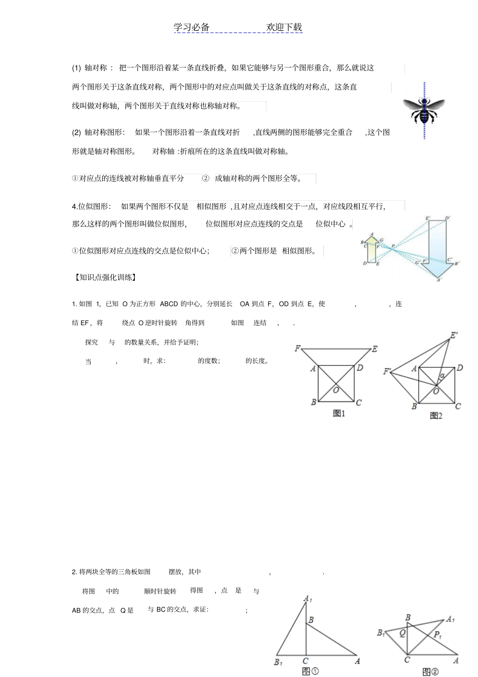 平移与旋转专题复习_第2页