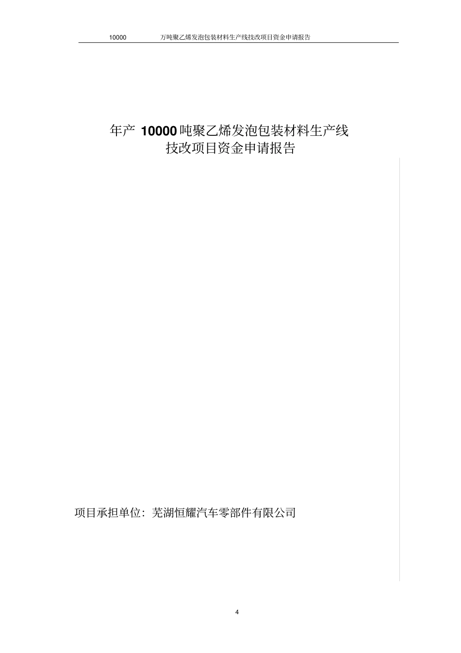 年产10000吨聚乙烯发泡包装材料生产线资金申请报告优秀甲级报告_第1页