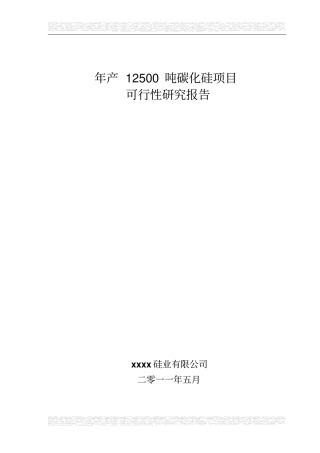 年产12500吨碳化硅项目可行性可行性研究报告