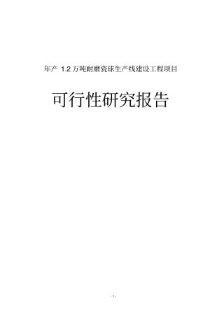 年产12万吨耐磨瓷球生产线工程项目可行性研究报告