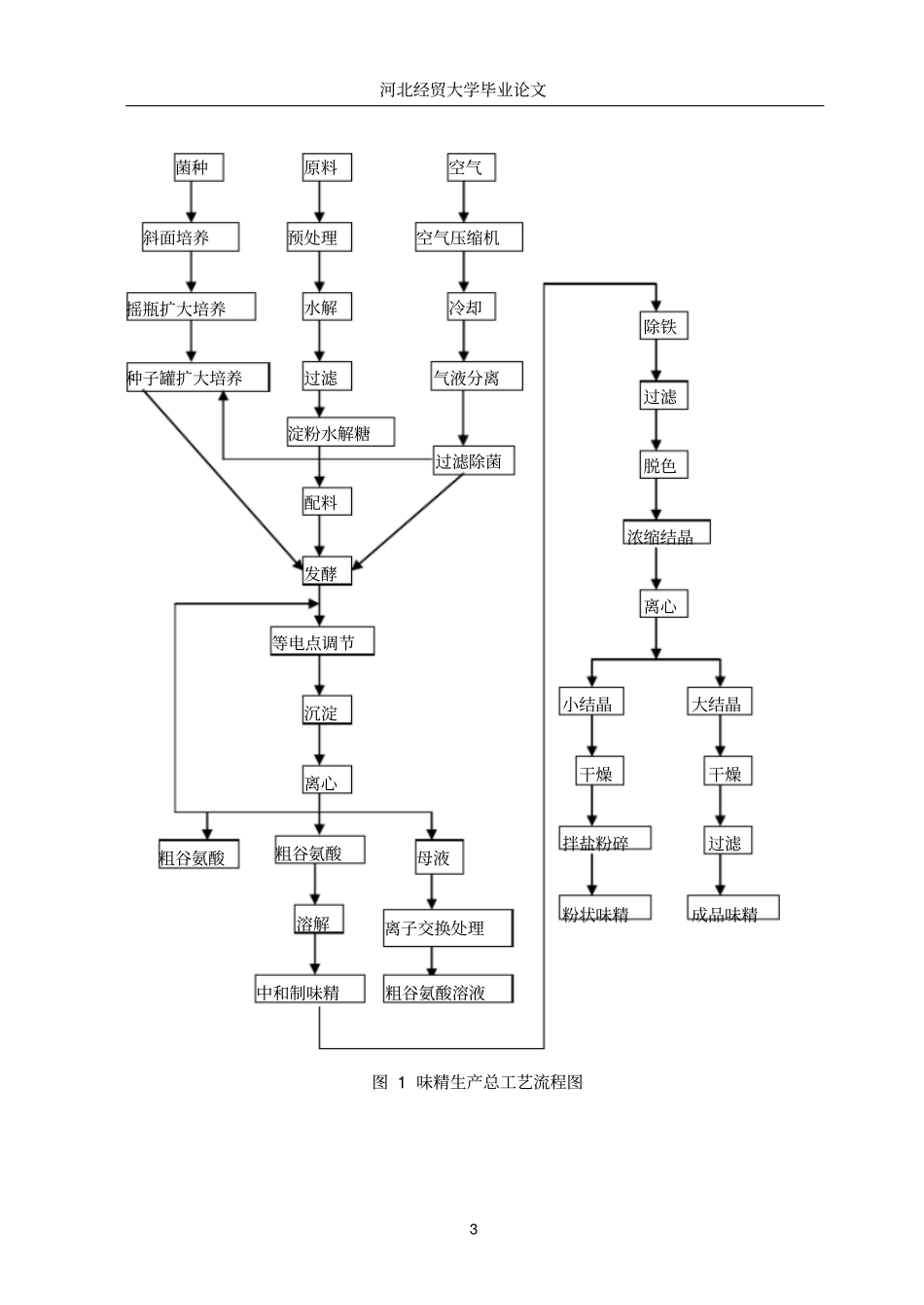 年产15000万吨味精的设计说明书_第3页