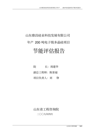 年产200吨电子级多晶硅项目节能评价报告