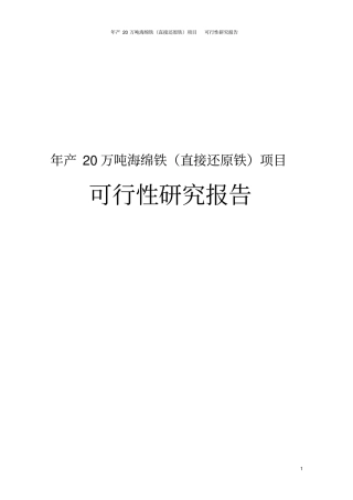 年产20万吨海绵铁直接还原铁项目可行性研究报告