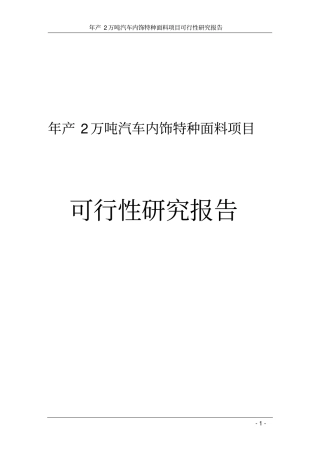 年产2万吨汽车内饰特种面料项目可行性研究报告