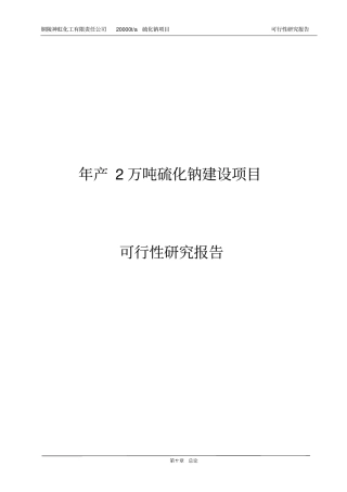年产2万吨硫化钠建设项目可行性研究报告