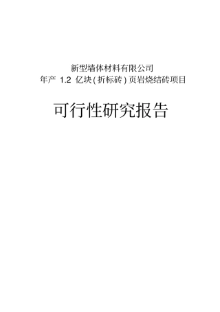 年产2亿块岩烧结砖项目可行性研究报告