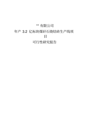 年产2亿标块煤矸石烧结砖生产线项目可行性研究报告