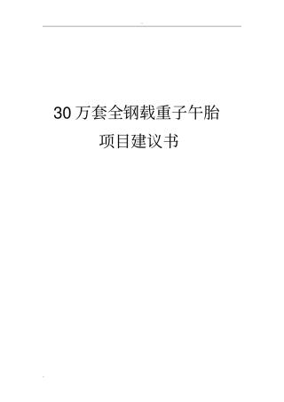 年产30万套全钢载重子午胎项目可行性可行性研究报告