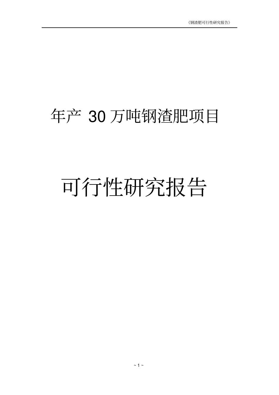 年产30万吨钢渣肥项目可行性研究报告_第1页
