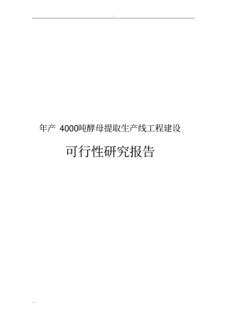 年产4000吨酵母提取生产线工程建设可行性研究报告