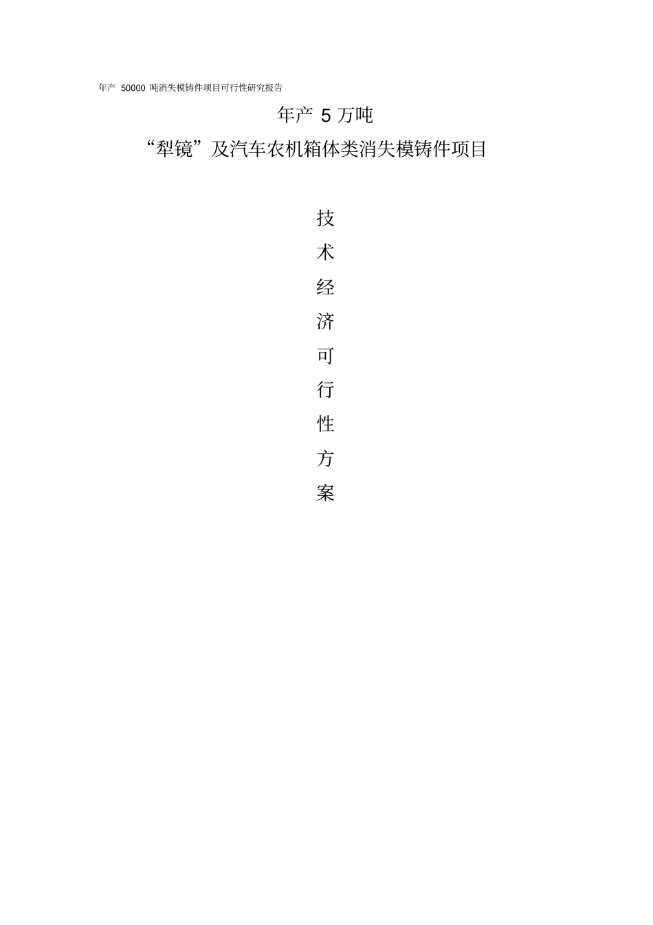 年产50000吨消失模铸件项目可行性研究报告_第1页