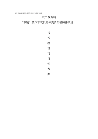 年产50000吨消失模铸件项目可行性研究报告