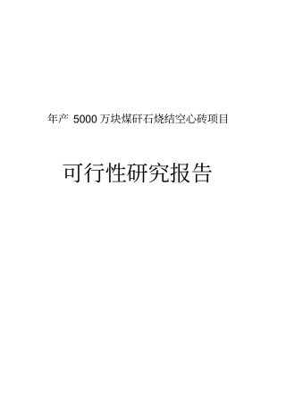年产5000万块煤矸石烧结空心砖项目可行性研究报告