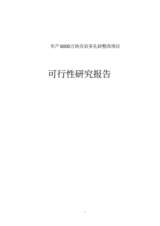 年产6000万块岩多孔砖整改项目可行性研究报告