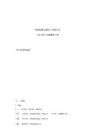 年产746;2万吨碳酸钾工程项目可行性研究报告