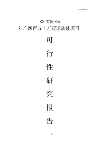 年产四百五十万双运动鞋项目可行性研究报告