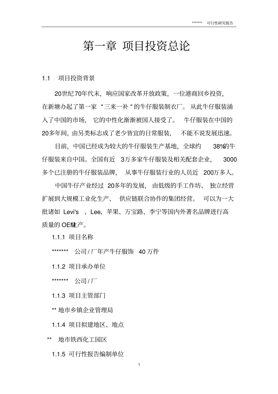 年产牛仔服饰40万件项目可行性研究报告_第1页