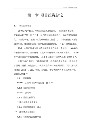 年产牛仔服饰40万件项目可行性研究报告