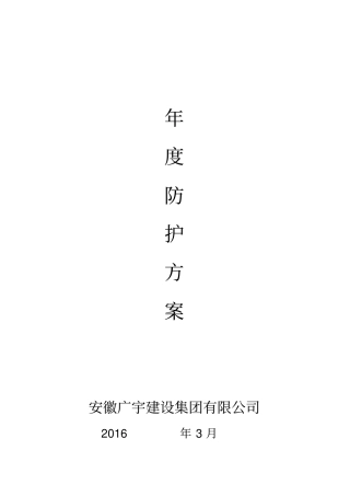 年安全防护方案精品