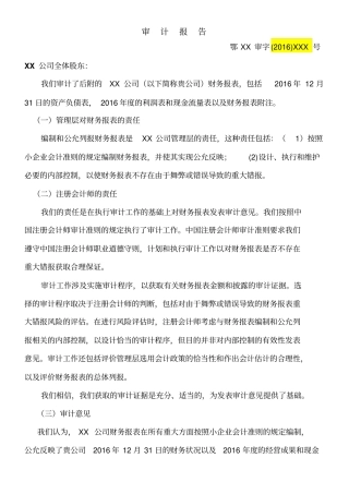 年审计报告及附注模板