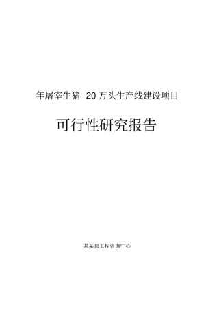 年屠宰生猪20万头生产线建设项目可行性研究报告