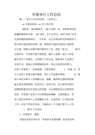 年报审计工作总结