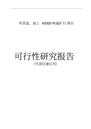 年洗选加工40000吨锰矿石项目锰矿项目可行性研究报告