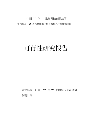年深加工30万吨糖蜜生产酵母及相关产品建设项目可行性研究报告