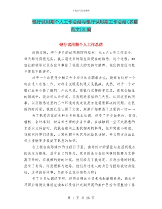 银行试用期个人工作总结与银行试用期工作总结汇编.doc