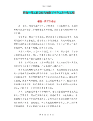 销售一周工作总结与销售下半年工作计划汇编