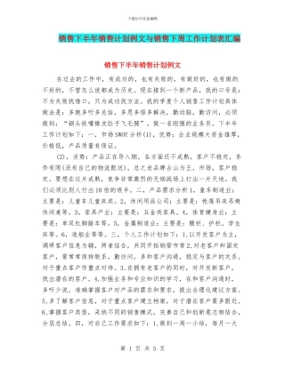 销售下半年销售计划例文与销售下周工作计划表汇编