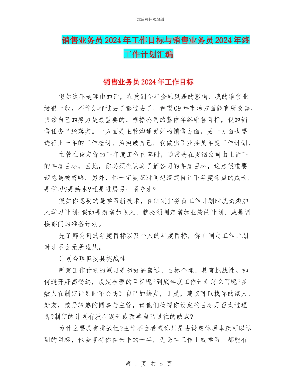 销售业务员2024年工作目标与销售业务员2024年终工作计划汇编_第1页