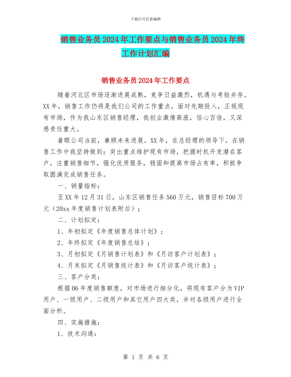 销售业务员2024年工作要点与销售业务员2024年终工作计划汇编_第1页