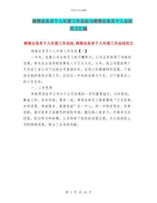 销售业务员个人年度工作总结与销售业务员个人总结范文汇编