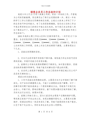 销售业务员工作总结和计划