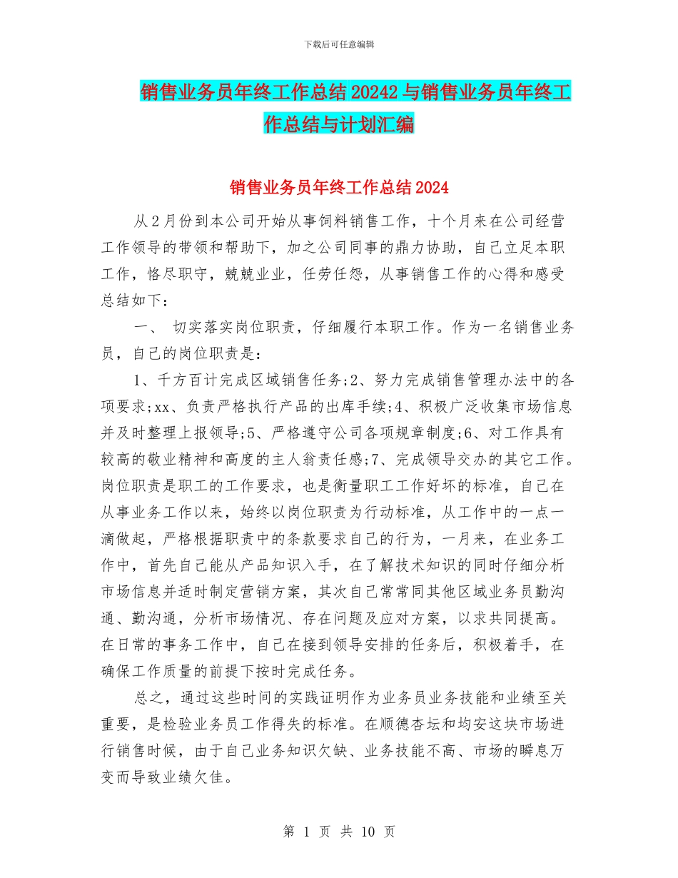 销售业务员年终工作总结20242与销售业务员年终工作总结与计划汇编_第1页