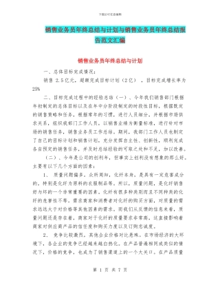 销售业务员年终总结与计划与销售业务员年终总结报告范文汇编